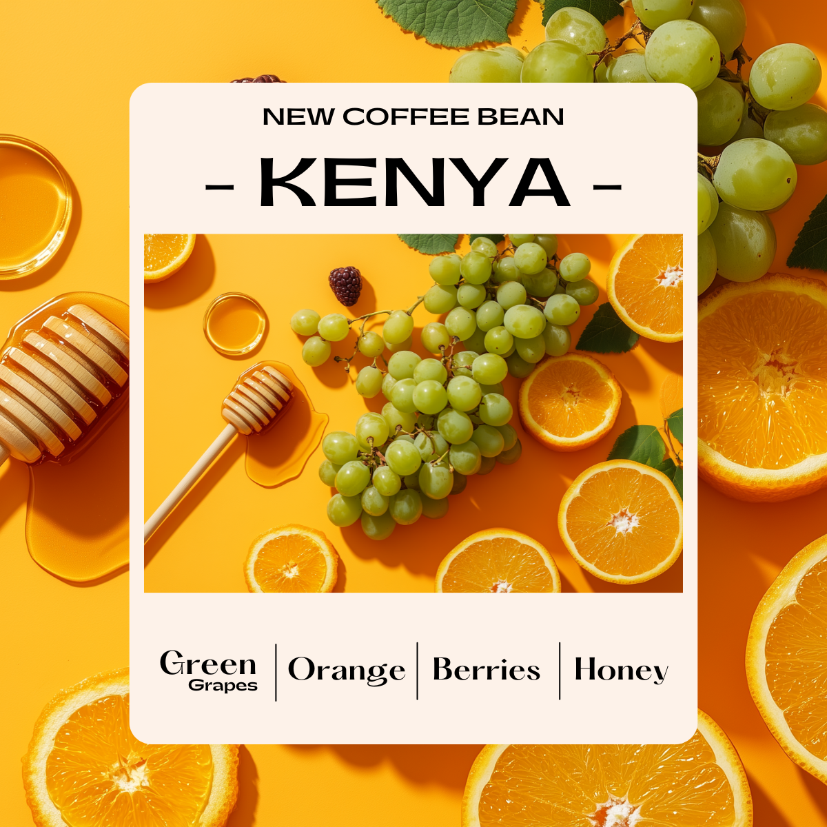 Kenya AA Plus (Washed)