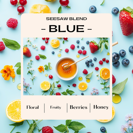 Seesaw Blue (online only)