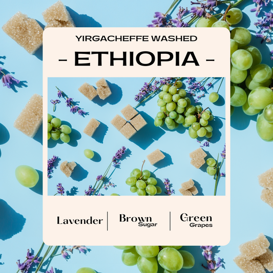 Ethiopia Yirgacheffe Aricha Adorsi (Washed)