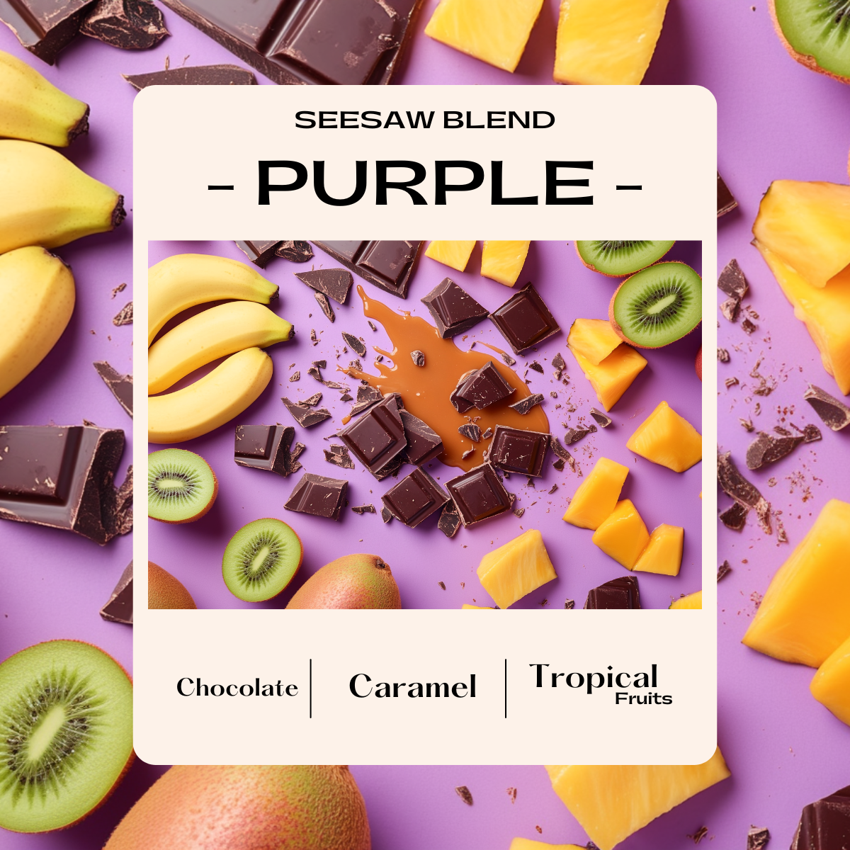 Seesaw Purple