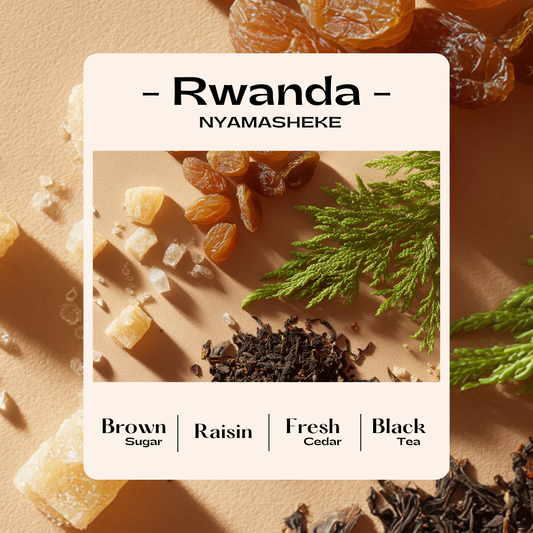 Rwanda (Washed)