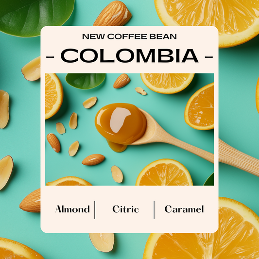Colombia Huila Volcano (Washed)