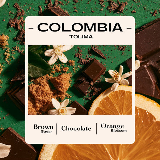 Colombia Tolima (Washed)